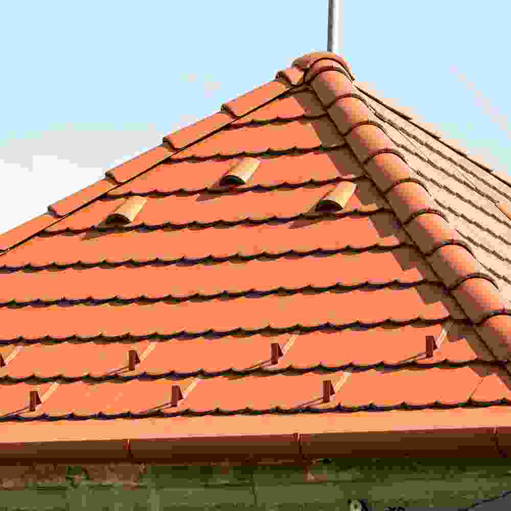 Shop Primary Image